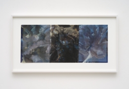 Liza Ryan, Darwin Triptych, 2021, Pigment prints with mixed media