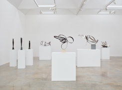 Installation view of "Beverly Pepper: New Particles From The Sun" at Kayne Griffin Corcoran, Los Angeles