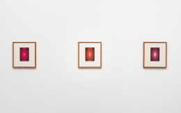 James Turrell, From the Guggenheim, Set 1, Reds, Large Vertical, 2015